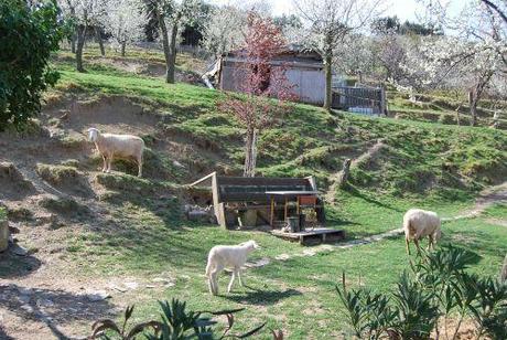 Parenzana, progetto più che sostenibile