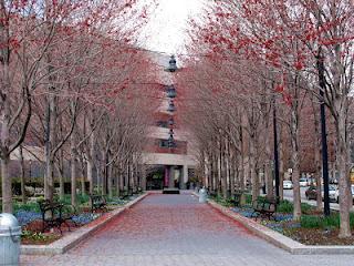 DanaGardenGuide New York _Battery Park 1