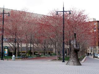 DanaGardenGuide New York _Battery Park 1