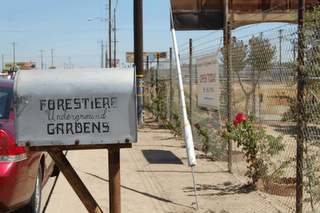 Forestiere Underground Gardens