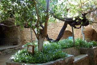 Forestiere Underground Gardens