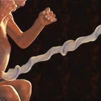 STAMINALI DEL CORDONE OMBELICALE, CARATTERISTICHE