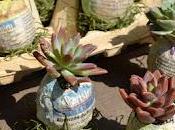 Idee succulente Pasqua..