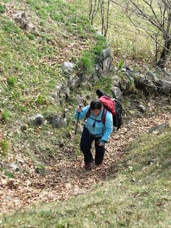 Relazione all'Alpe di Lierna