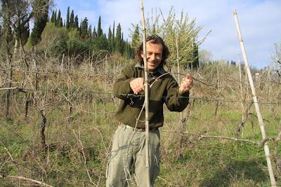 vignaioli abusivi (della domenica)