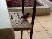 Siamo Aprile.Come passa tempo. Manca sempre men...